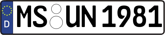 MS-UN1981