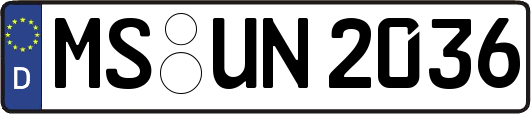 MS-UN2036