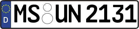MS-UN2131