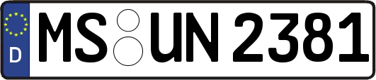 MS-UN2381