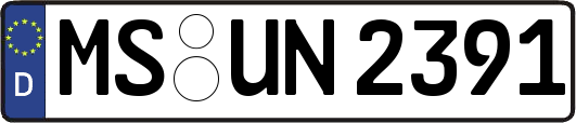 MS-UN2391