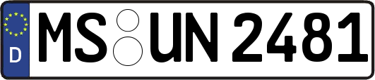 MS-UN2481