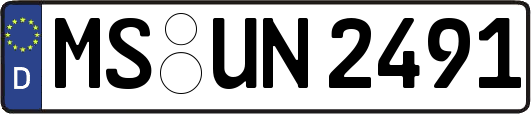 MS-UN2491