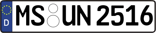 MS-UN2516