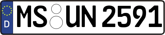 MS-UN2591