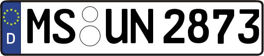 MS-UN2873
