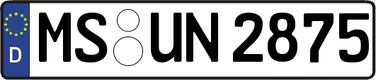 MS-UN2875