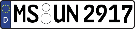 MS-UN2917