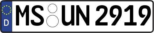 MS-UN2919