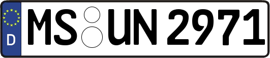MS-UN2971