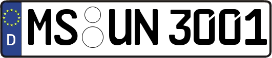 MS-UN3001