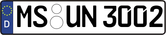 MS-UN3002