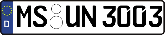 MS-UN3003