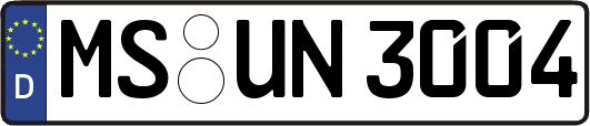 MS-UN3004
