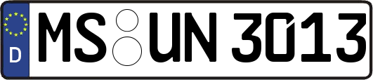 MS-UN3013
