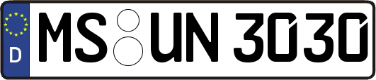 MS-UN3030