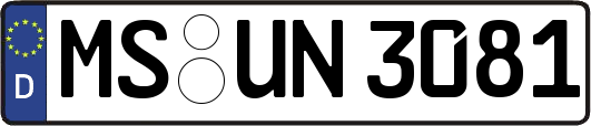 MS-UN3081