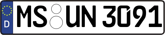 MS-UN3091