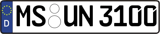 MS-UN3100