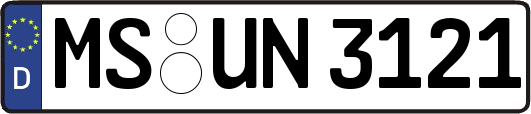 MS-UN3121