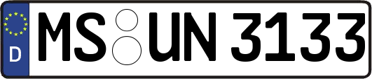 MS-UN3133