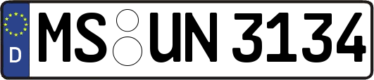 MS-UN3134
