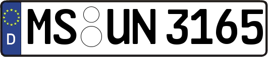 MS-UN3165