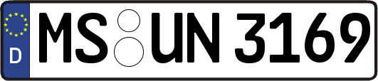 MS-UN3169