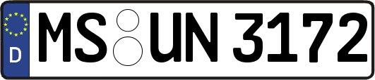 MS-UN3172