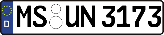 MS-UN3173
