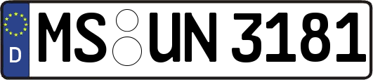 MS-UN3181