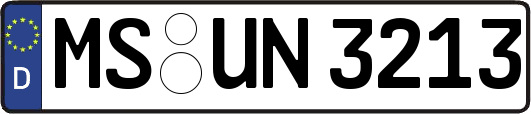 MS-UN3213