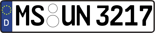 MS-UN3217