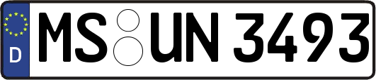 MS-UN3493