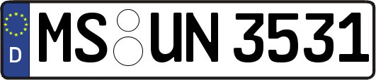 MS-UN3531