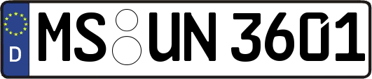 MS-UN3601