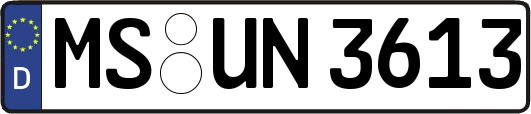 MS-UN3613