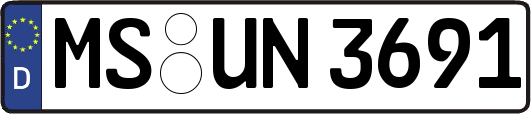 MS-UN3691