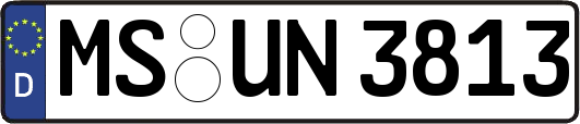 MS-UN3813