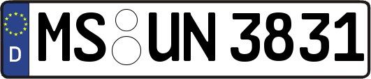 MS-UN3831