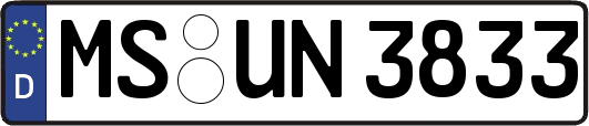 MS-UN3833