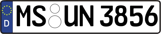 MS-UN3856