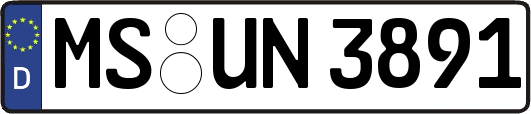 MS-UN3891