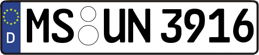 MS-UN3916