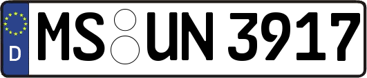 MS-UN3917