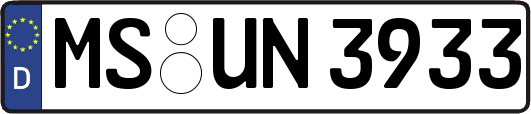 MS-UN3933