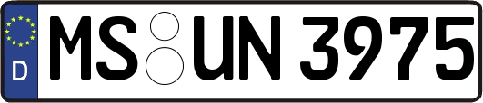 MS-UN3975