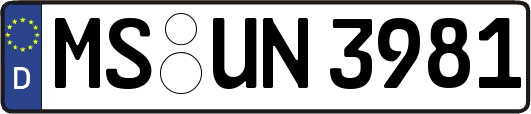 MS-UN3981