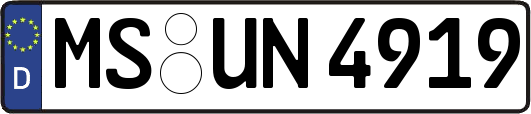 MS-UN4919