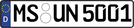 MS-UN5001